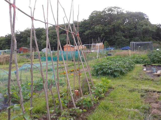 UPL_Allotment2